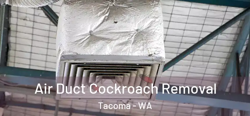  Air Duct Cockroach Removal Tacoma - WA
