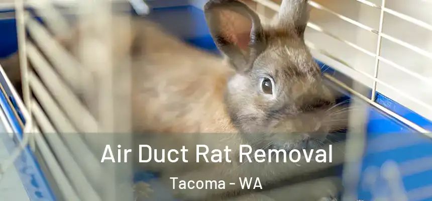  Air Duct Rat Removal Tacoma - WA