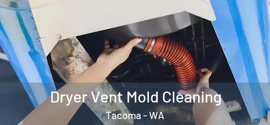  Dryer Vent Mold Cleaning Tacoma - WA