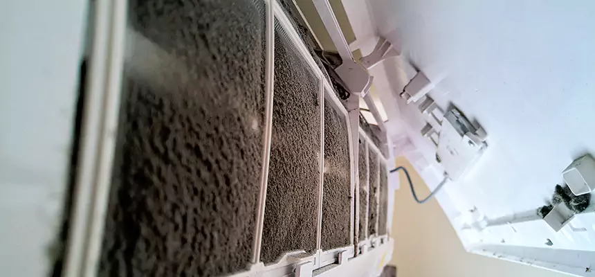 Preventive Air Duct Bacteria Removal in Tacoma