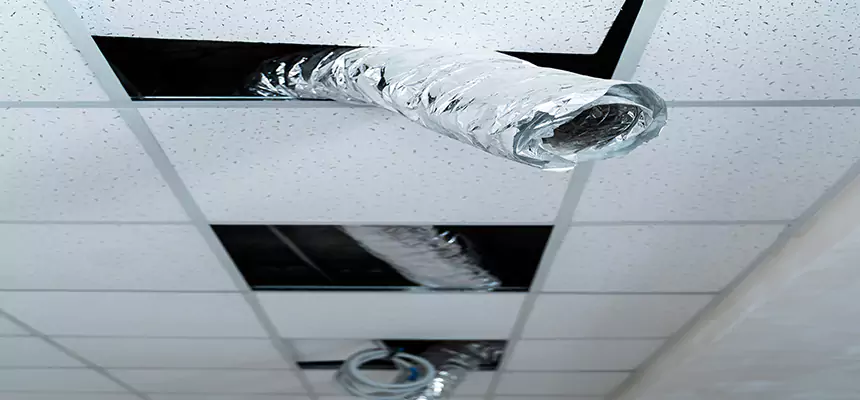 Our Air Duct Pet Hair Removal Services in Tacoma, WA