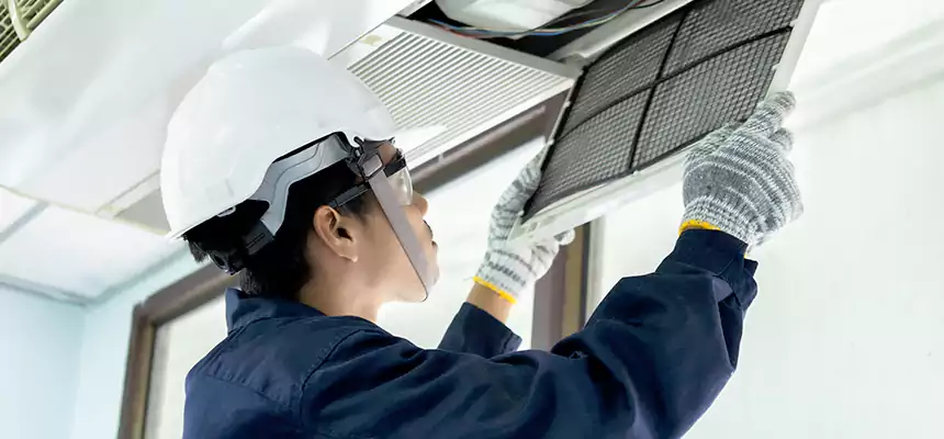 Our Mold & Mildew Removal from Air Ducts Services in Tacoma, WA