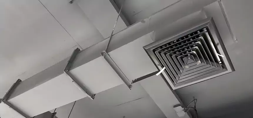 Our Rodent Droppings In Vents Services in Tacoma, WA