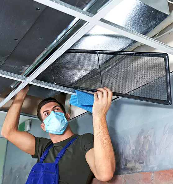 About Air Duct Bacteria Removal in Tacoma