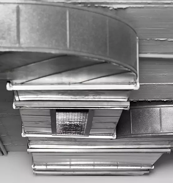 Professional Air Duct Pest Removal in Tacoma, WA