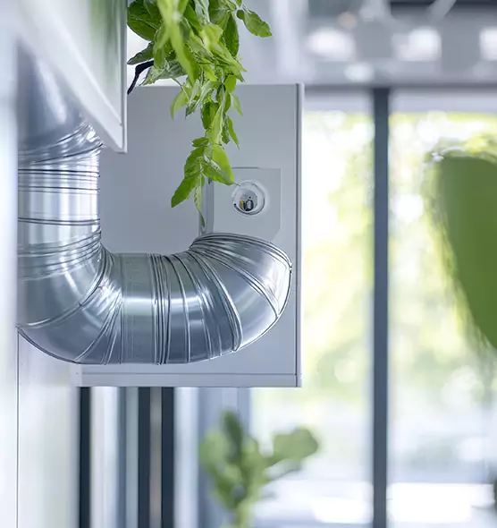 Professional Eco-Friendly Duct Cleaning Services in Tacoma, WA