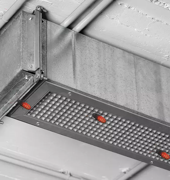 Affordable Insect Removal from Air Ducts in Tacoma, WA
