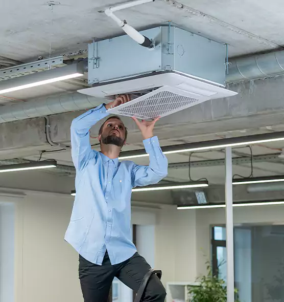Advanced Rodent Droppings In Vents in Tacoma, WA
