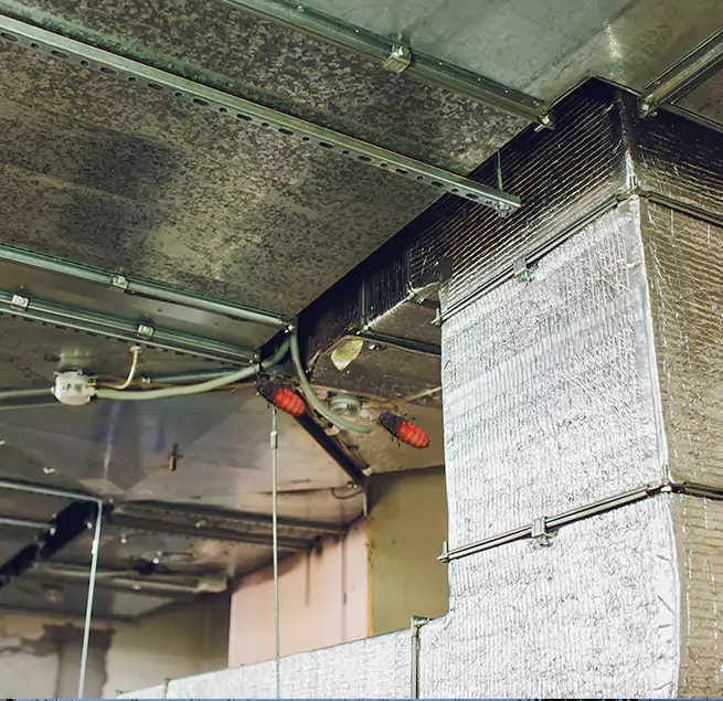 Why Homeowners & Businesses Trust Us in Tacoma, WA?