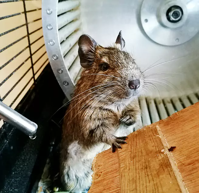 Why Homeowners & Businesses Trust Us Tacoma, WA