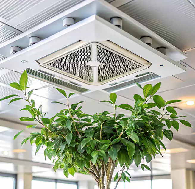 Why Homeowners & Businesses Trust Us in Tacoma, WA?