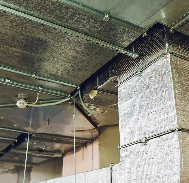 Why Homeowners & Businesses Trust Us in Tacoma, WA?