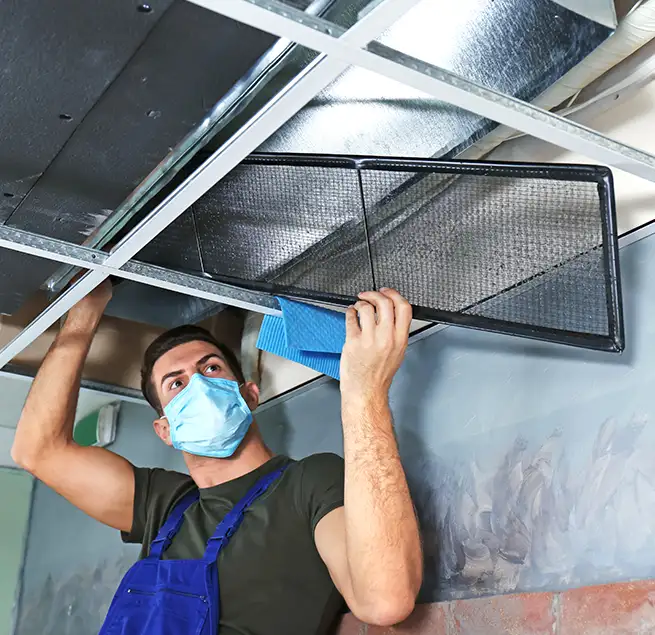 Why Homeowners & Businesses Trust Us in Tacoma, WA?