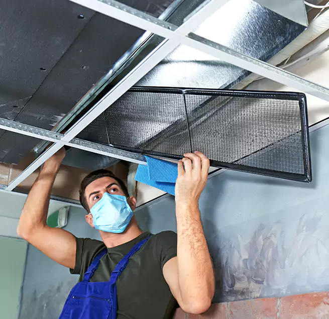 Why Homeowners & Businesses Trust Us in Tacoma, WA?